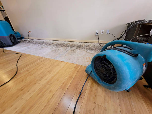 Professional Sewage Cleanup technician working in Posey, CA